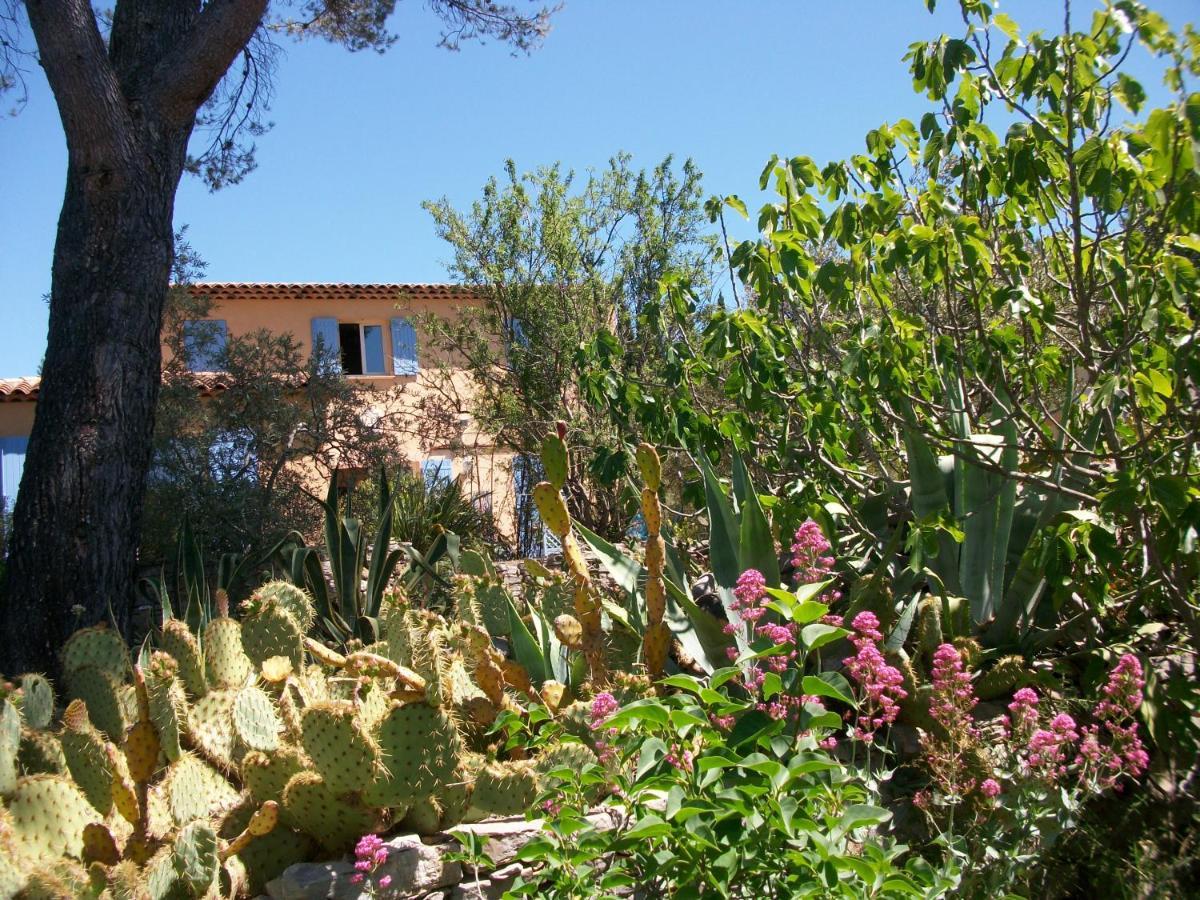 Les Chardons Bleus Bed & Breakfast Lorgues Exterior photo