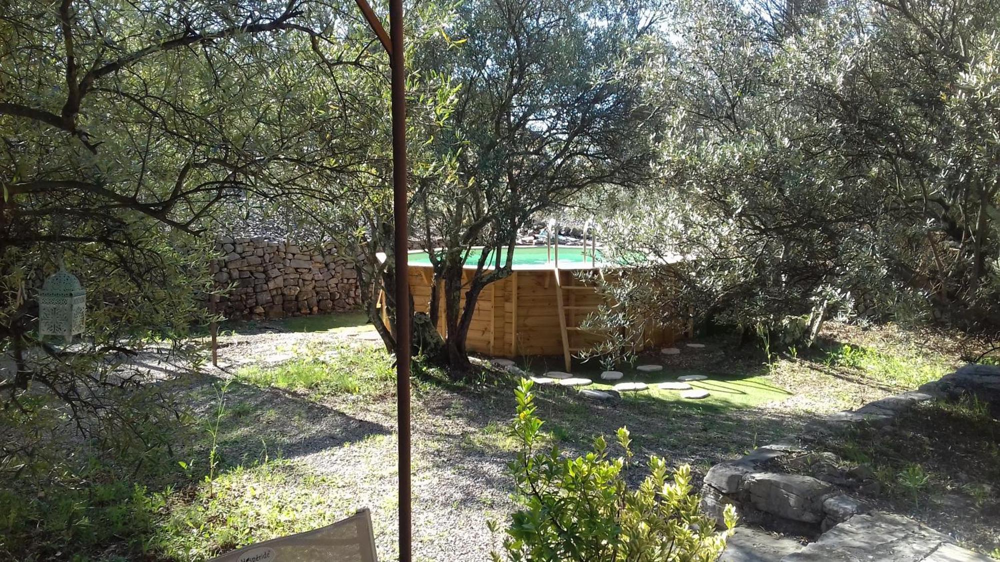 Les Chardons Bleus Bed & Breakfast Lorgues Exterior photo